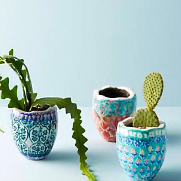 FOUND! Anthropologie Bismarck Planter - Picture 3 of 7